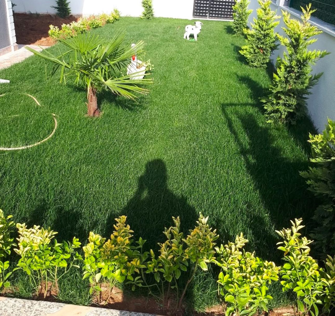 Natura Peyzaj